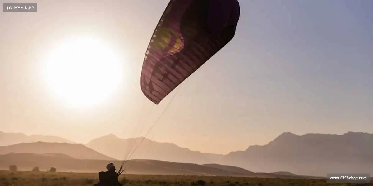 行业领先的理由